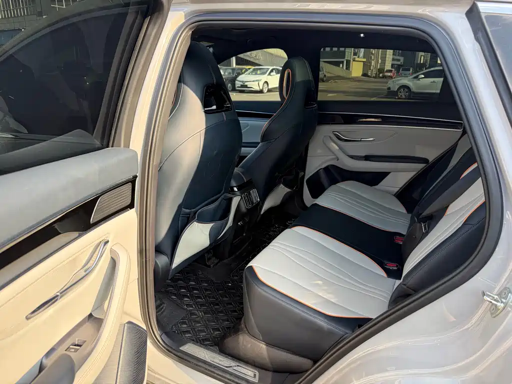 BYD Song PLUS New Energy 2024 — фото 10