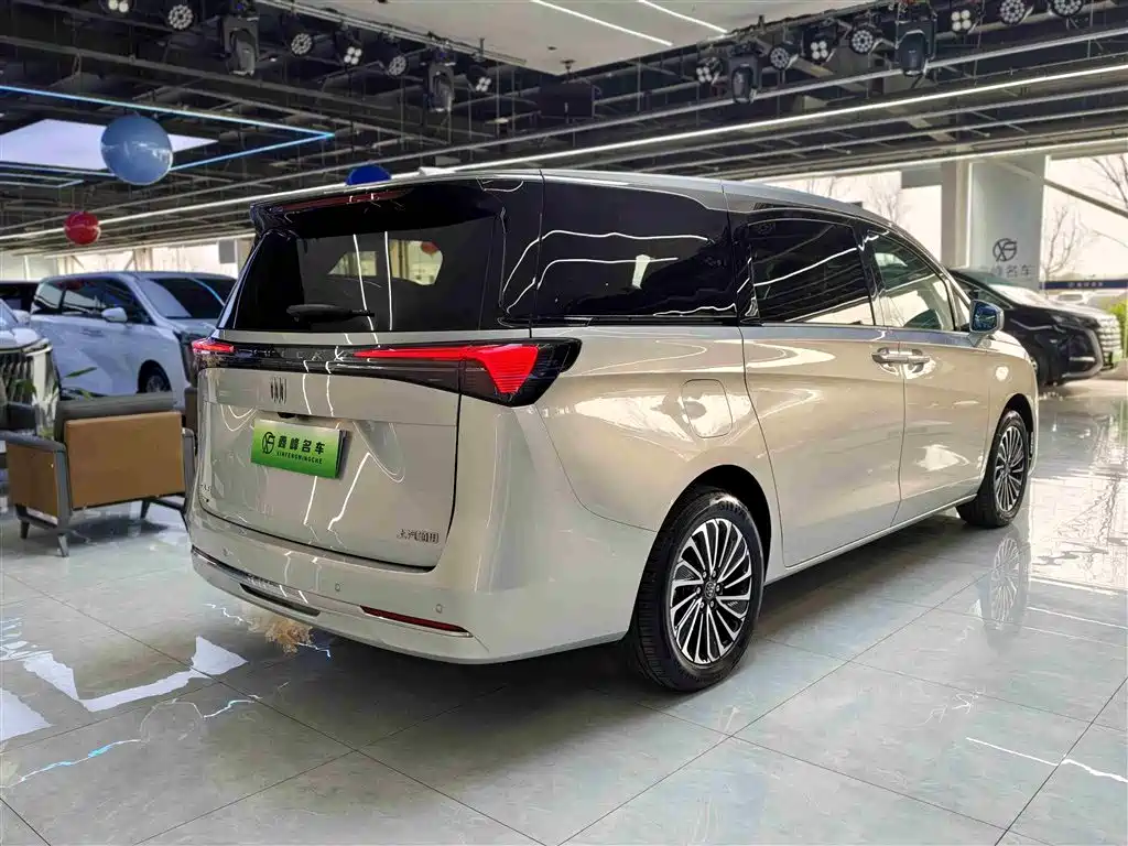 Buick GL8 Hybrid 2025 — фото 29