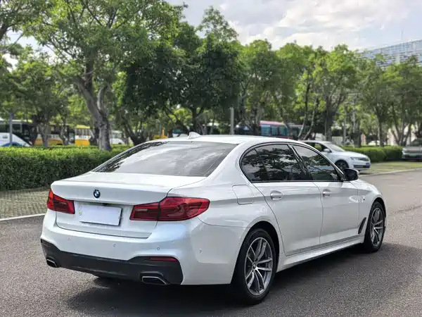 BMW 5 Series 2019