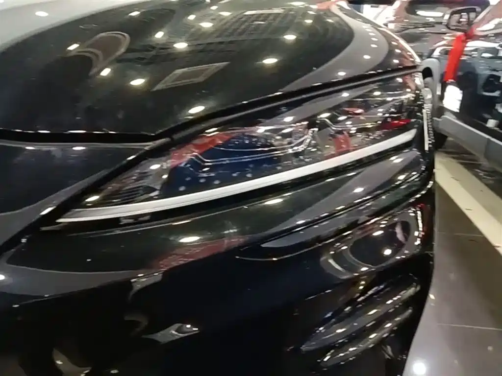 BYD PLUS New Energy 2024 — фото 24