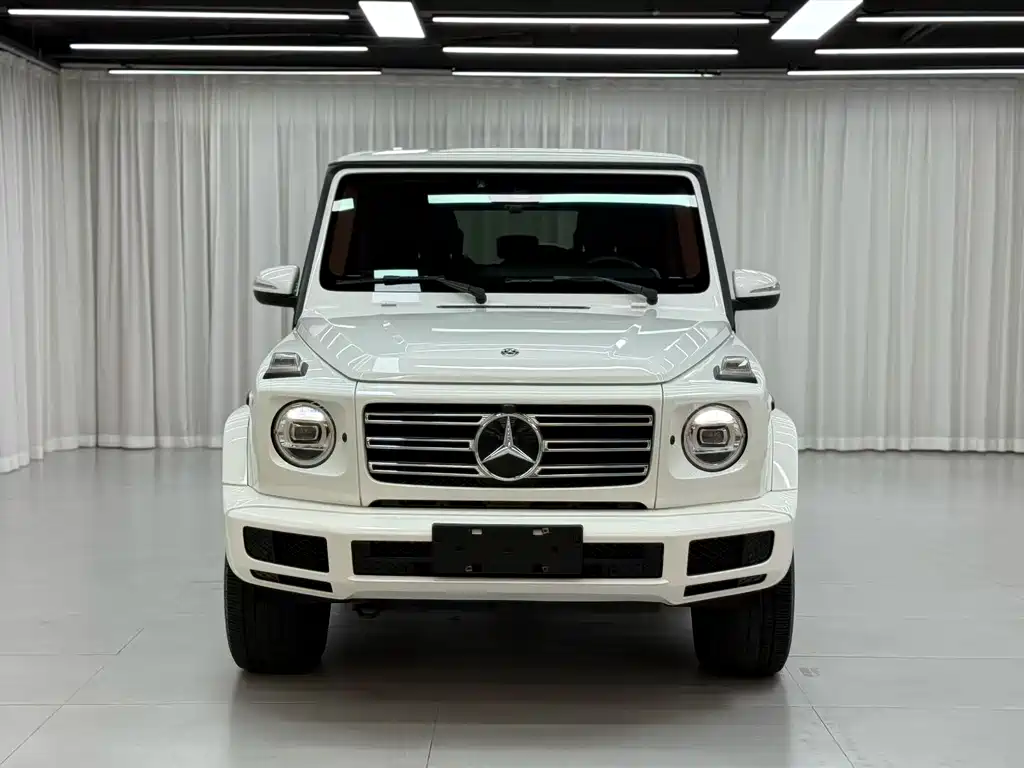 Mercedes-Benz G-Class 2019 — фото 1