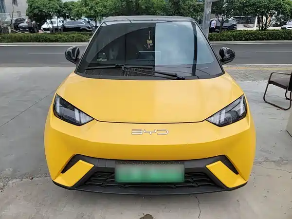 BYD Seagull 2024