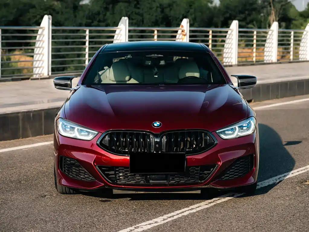 BMW 8 Series 2020 — фото 2