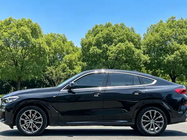 BMW X6 2021