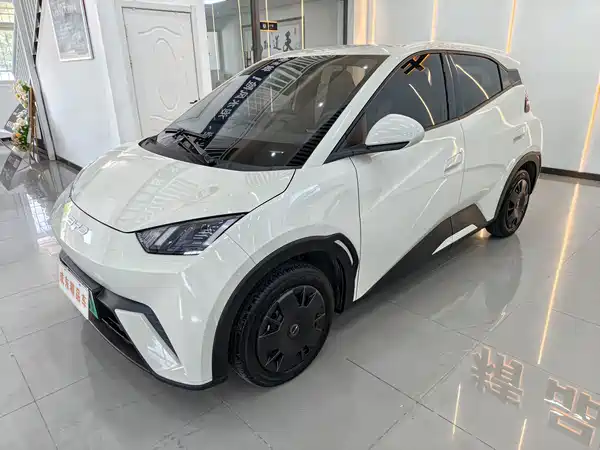 BYD Seagull 2024