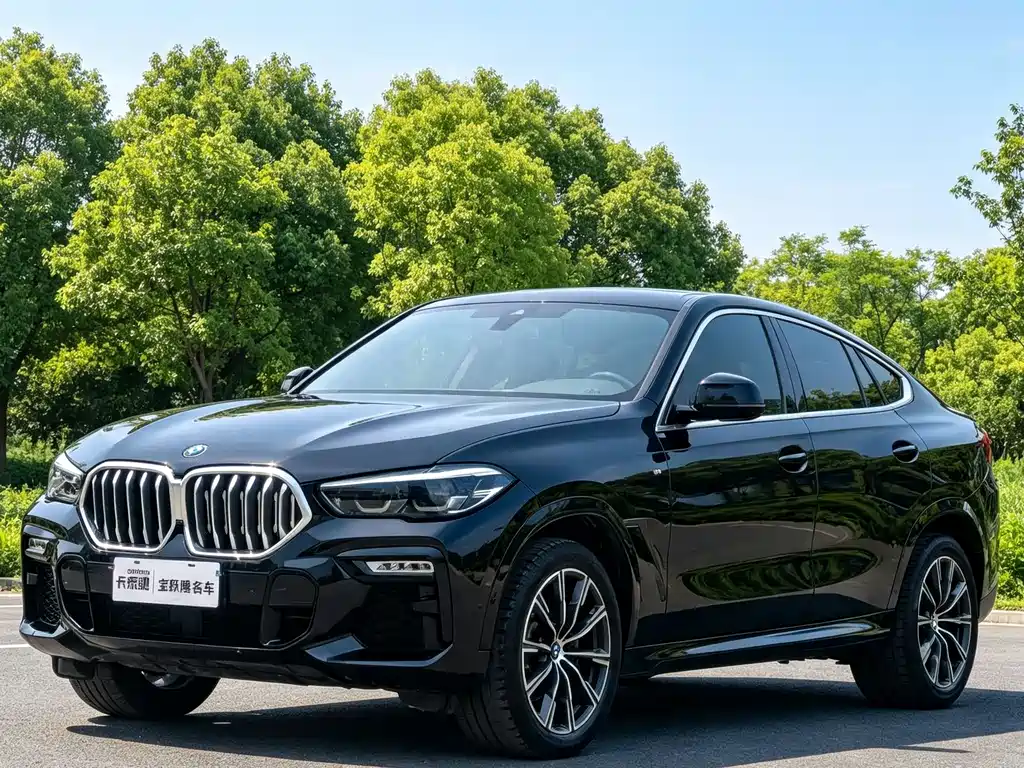 BMW X6 2021 — фото 1