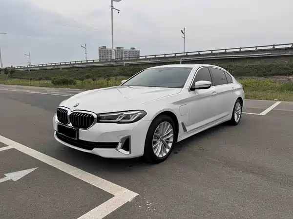 BMW 5 Series New Energy 2021