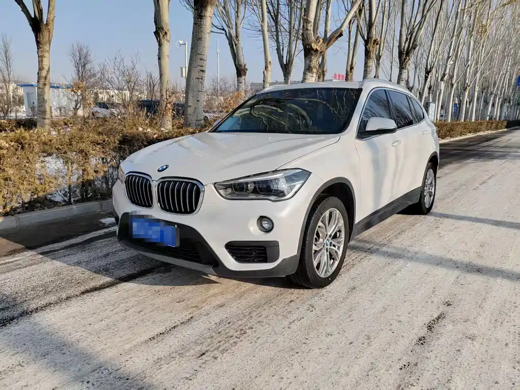 BMW X1 2019 — фото 1