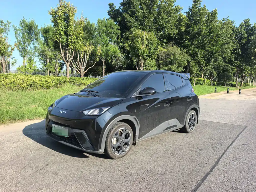 BYD Seagull 2024