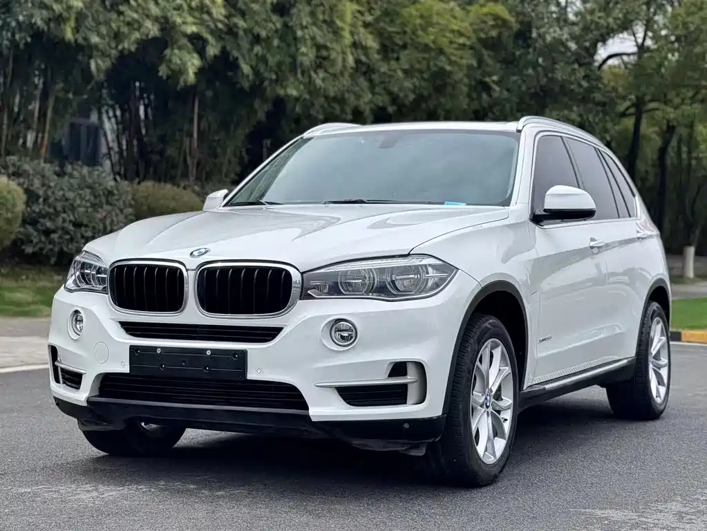 BMW X5 2017 — фото 1