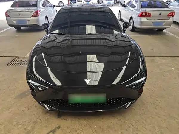 Neta S 2022