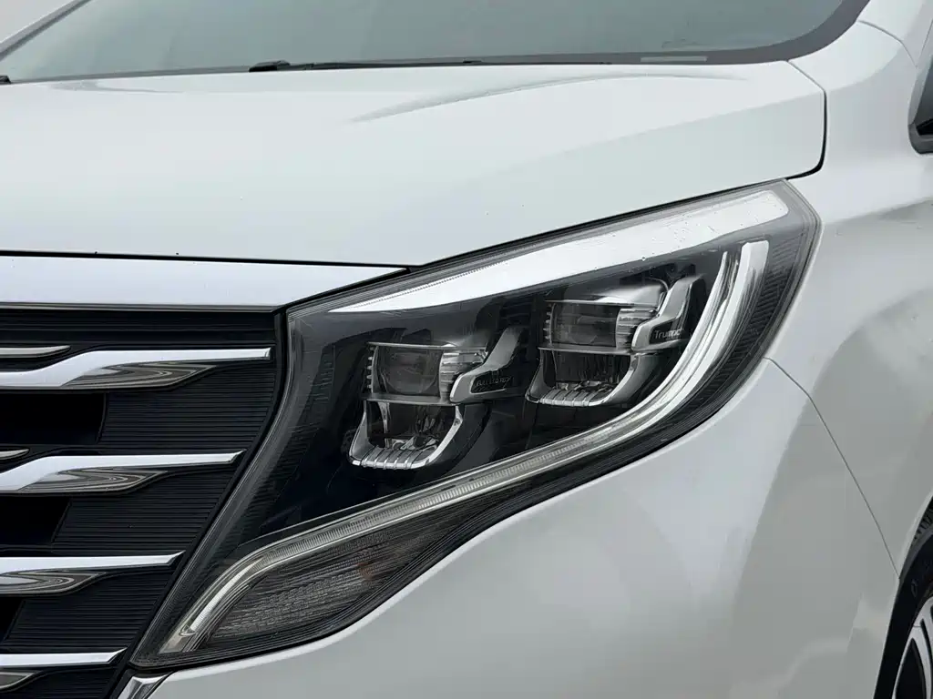 GAC Motor Trumpchi M8 2018 — фото 10
