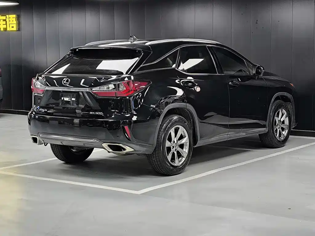 Lexus RX 2019 — фото 14