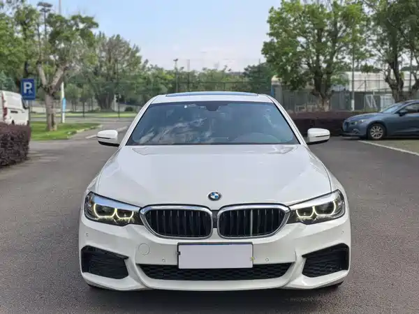 BMW 5 Series 2019