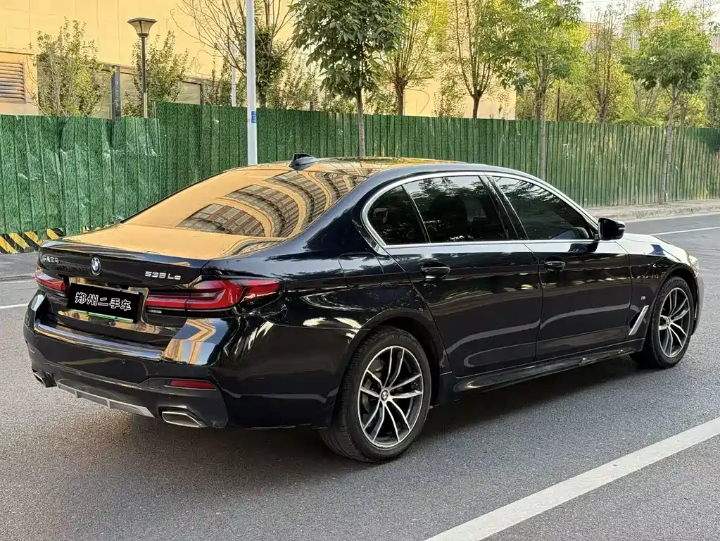 BMW 5 Series New Energy 2021