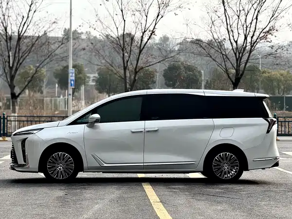 Buick GL8 New Energy 2024