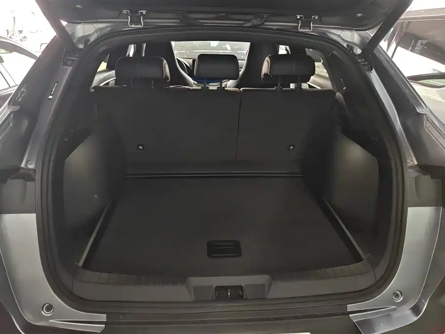 BYD PLUS New Energy 2022 — фото 4