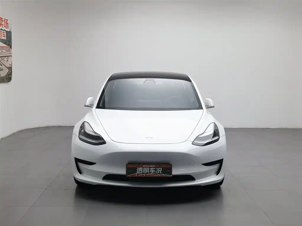 Tesla Model 3 2020 — фото 3
