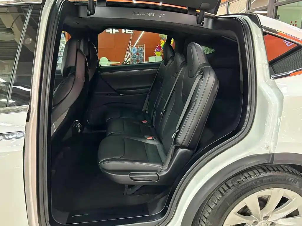 Tesla Model X 2017 — фото 14