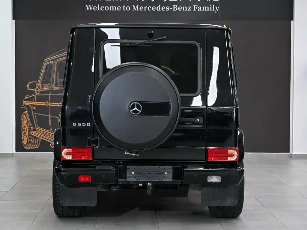 Mercedes-Benz G-Class 2015 — фото 5
