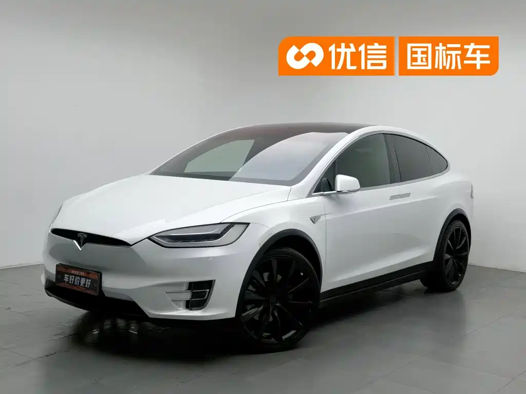 Tesla Model X 2016 — фото 1