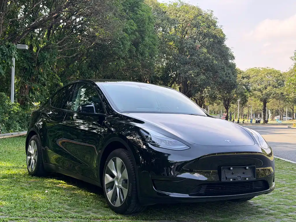 Tesla Model Y 2023 — фото 2