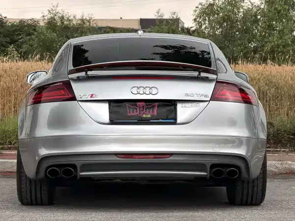 Audi TTS 2013