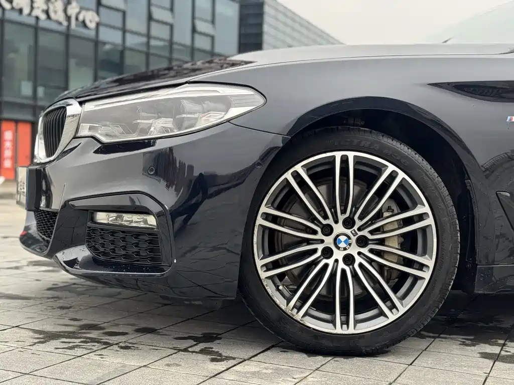 BMW 5 Series 2017 — фото 14