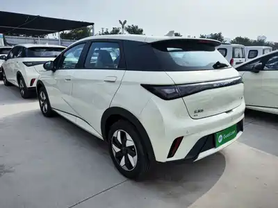BYD Dolphin 2026