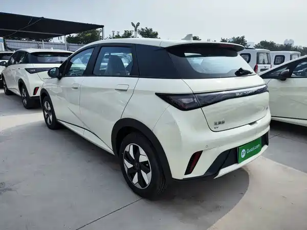 BYD Dolphin 2026