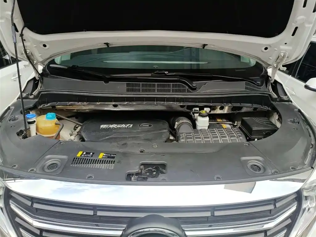 GAC Motor Trumpchi M8 2022 — фото 20