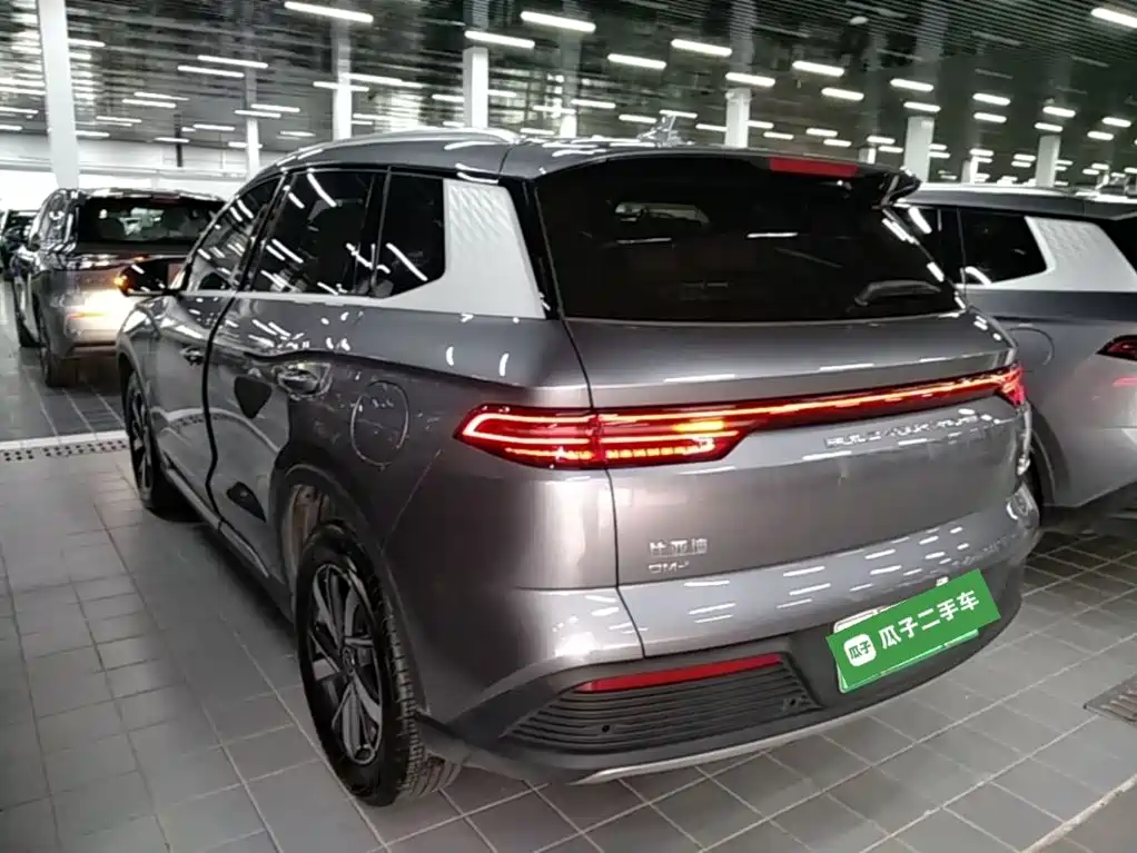 BYD Pro New Energy 2025 — фото 5