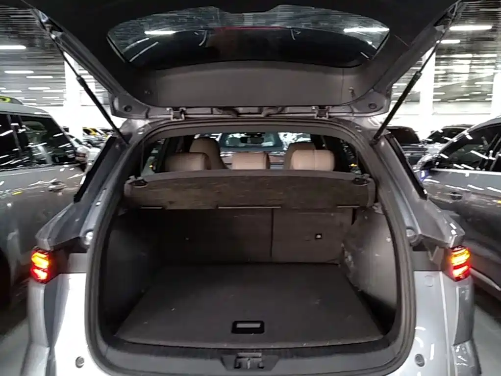 BYD Pro New Energy 2025 — фото 19