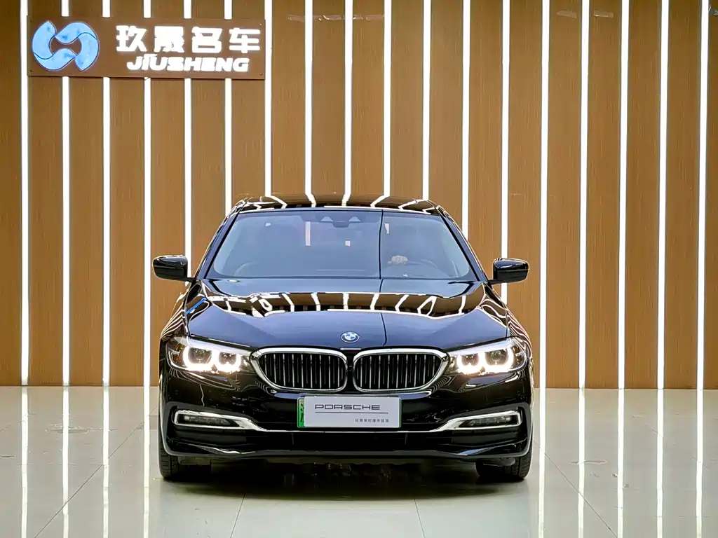 BMW 5 Series New Energy 2018