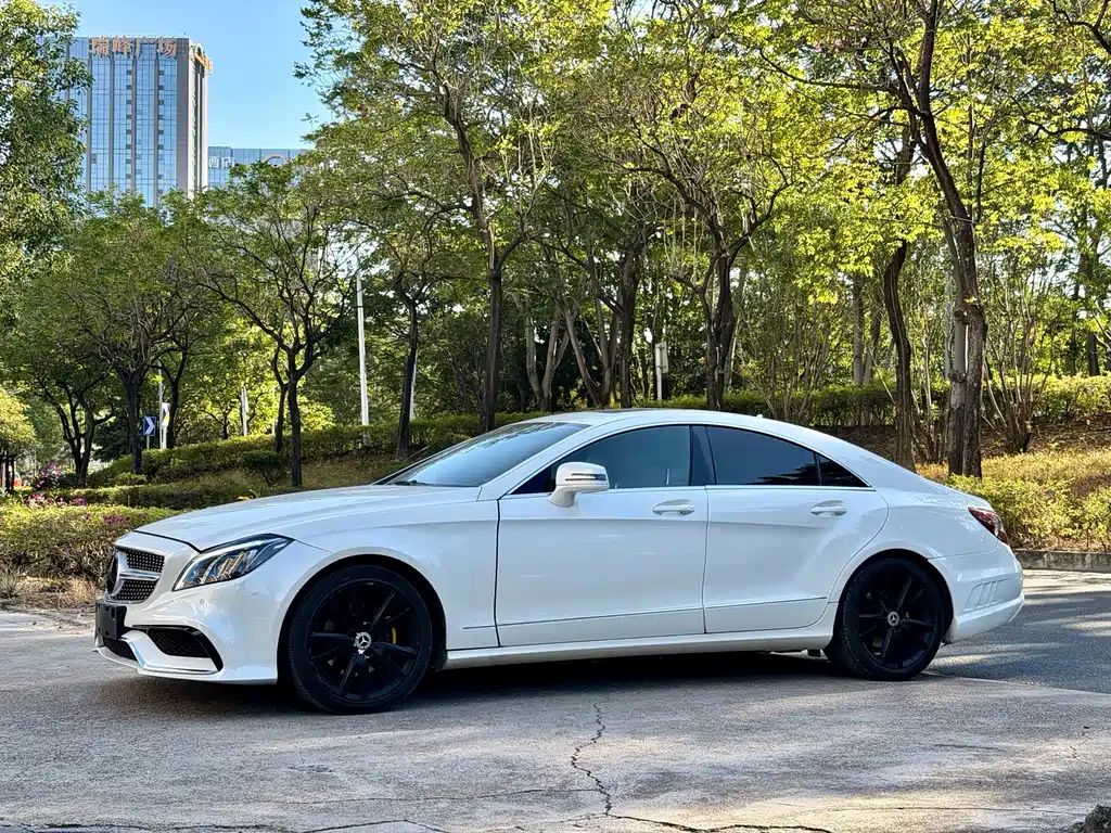 Mercedes-Benz CLS 2014 — фото 1