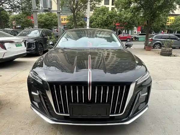 Hongqi H5 2025