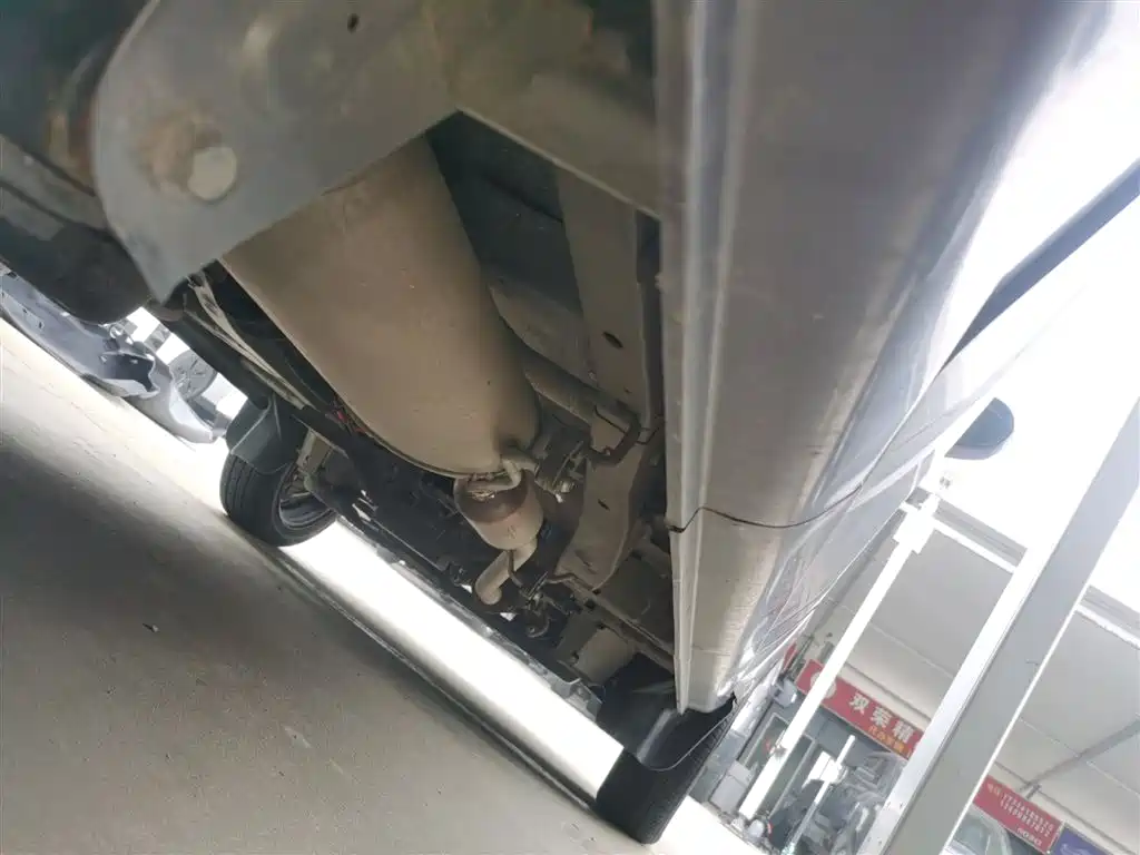 Jinbei Golden Sea Lion M Classic 2024 — фото 21