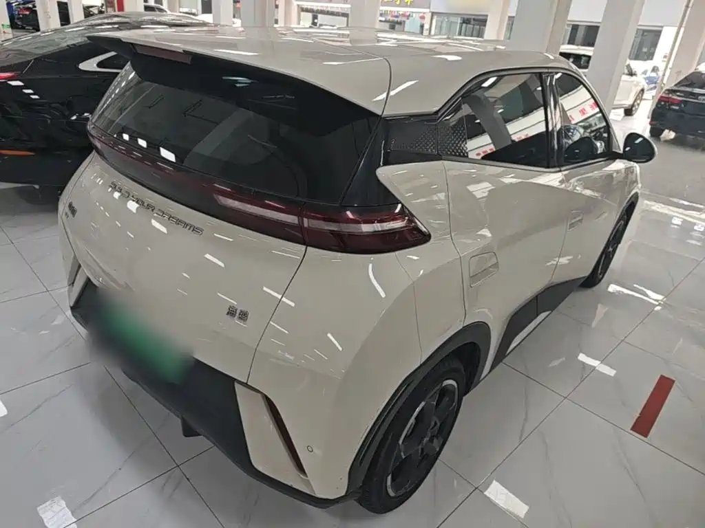 BYD Seagull 2024