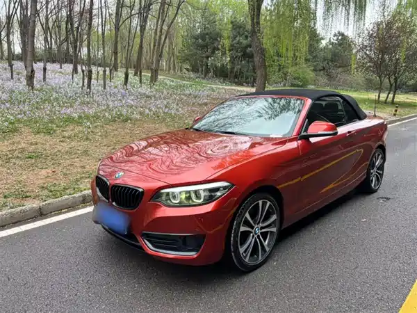 BMW 2 Series 2019