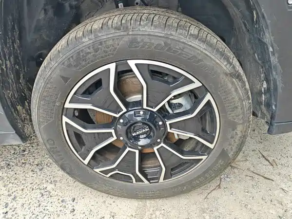 Haval Big Dog PLUS New Energy 2025