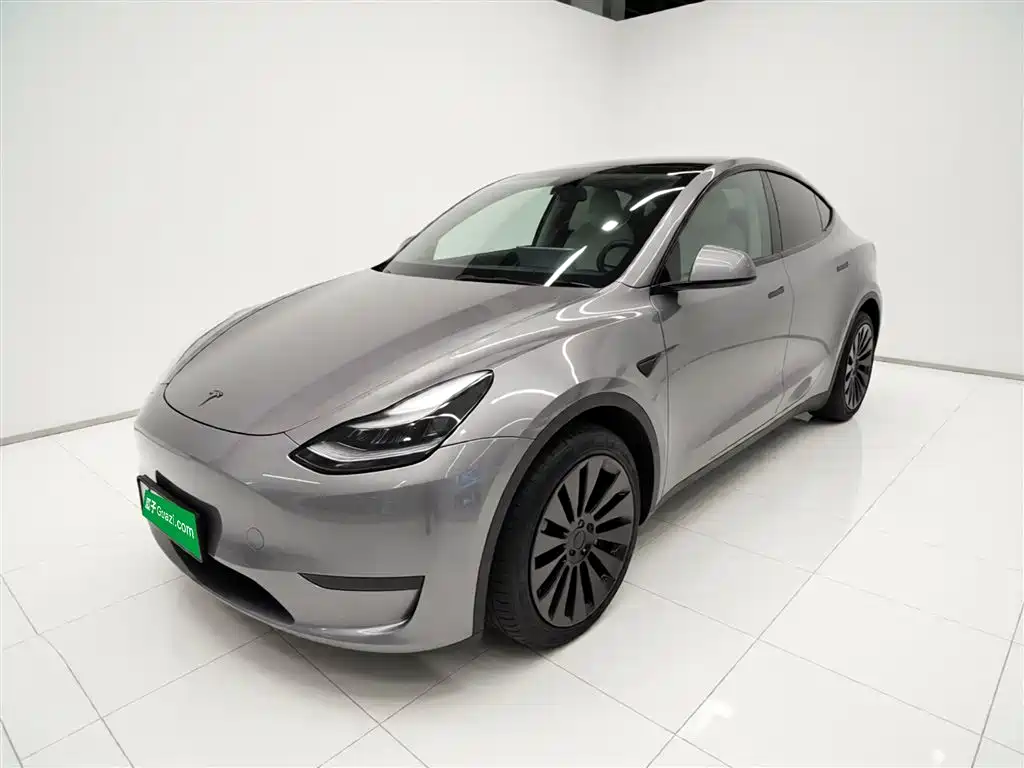 Tesla Model Y 2021 — фото 1