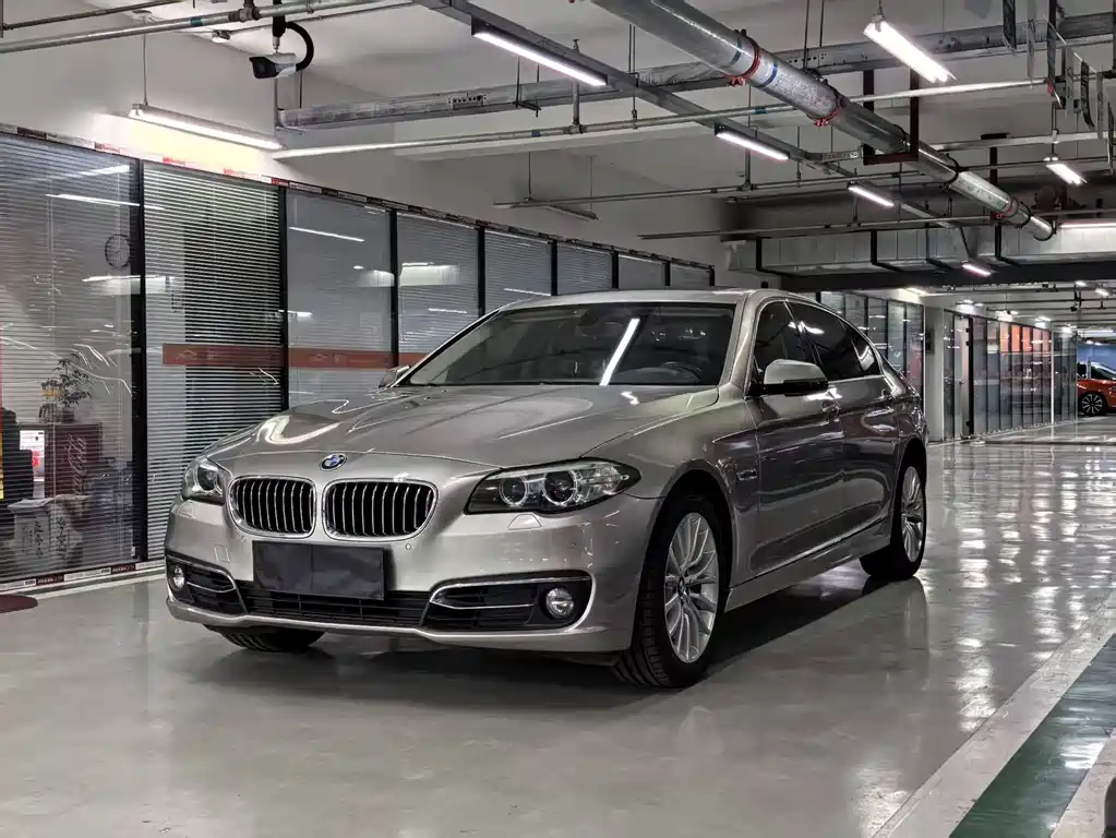 BMW 5 Series 2014 — фото 1