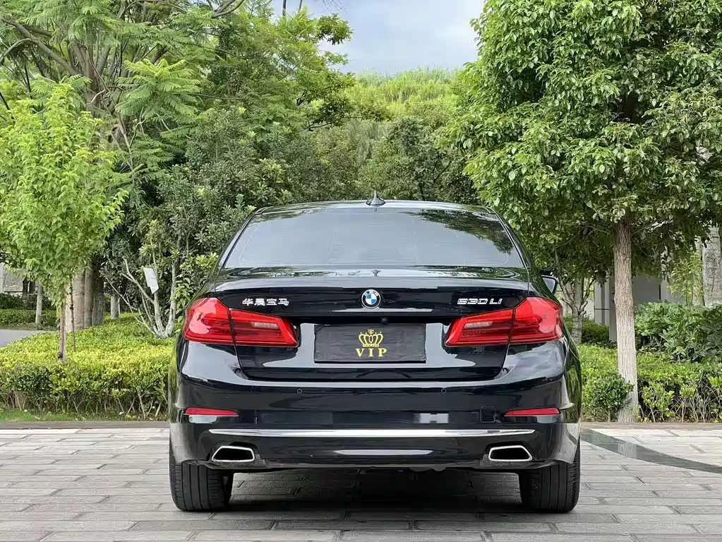 BMW 5 Series 2019