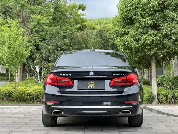 BMW 5 Series 2019