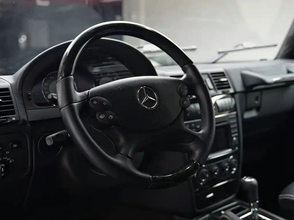 Mercedes-Benz G-Class AMG 2010 — фото 10