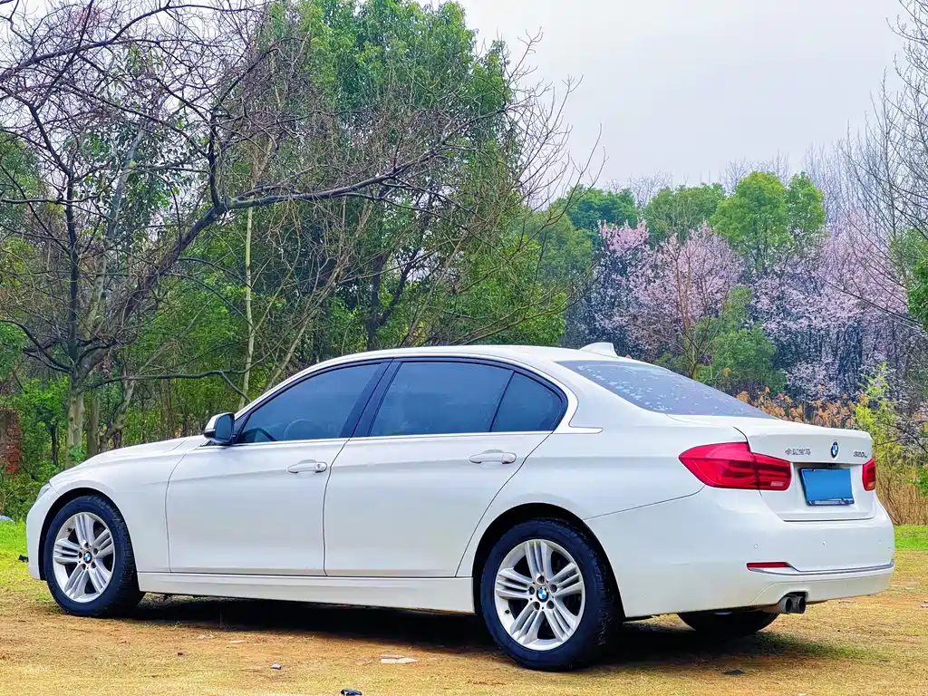 BMW 3 Series 2017 — фото 15