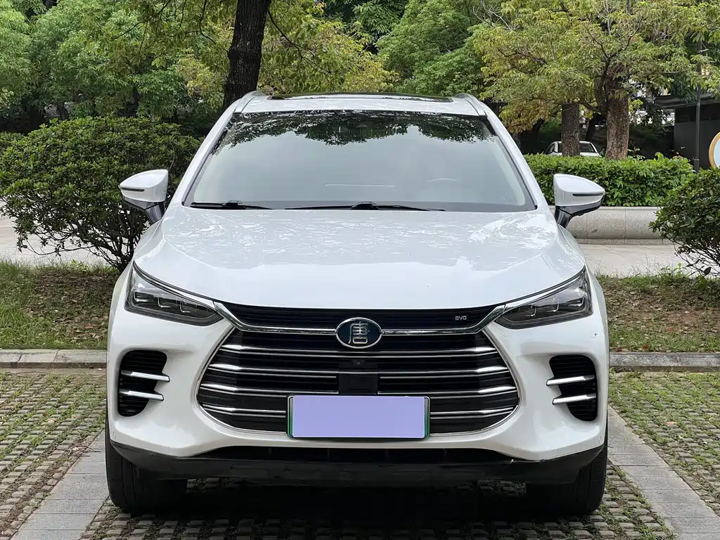 BYD Tang New Energy 2019 — фото 2