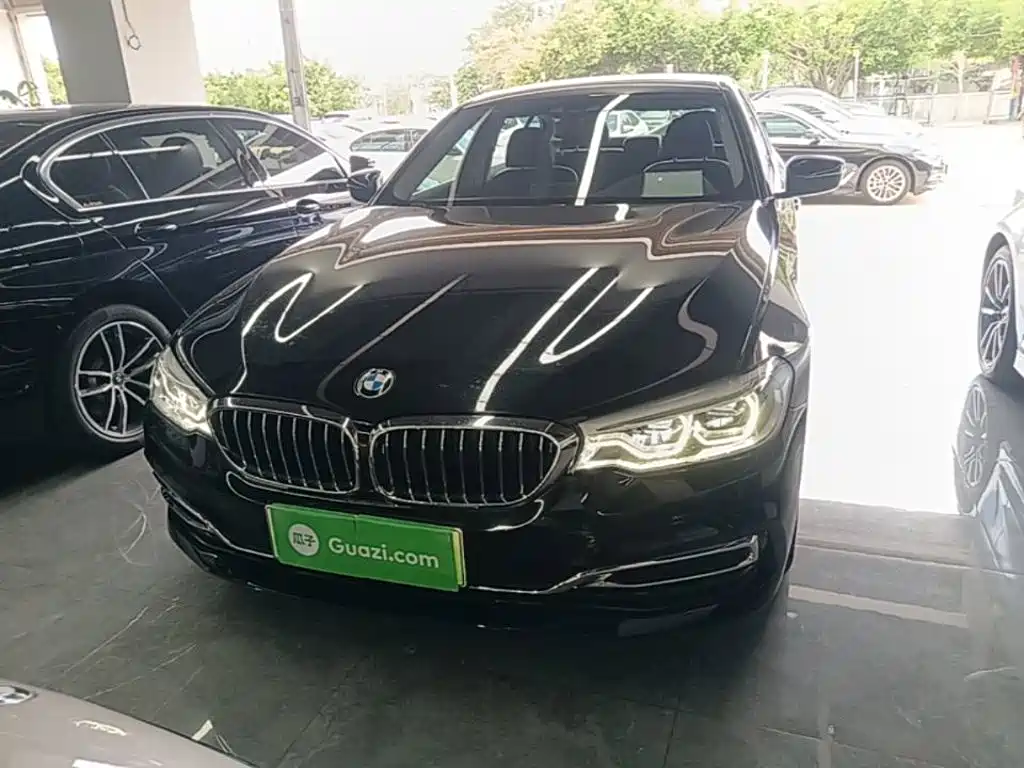 BMW 5 Series New Energy 2020