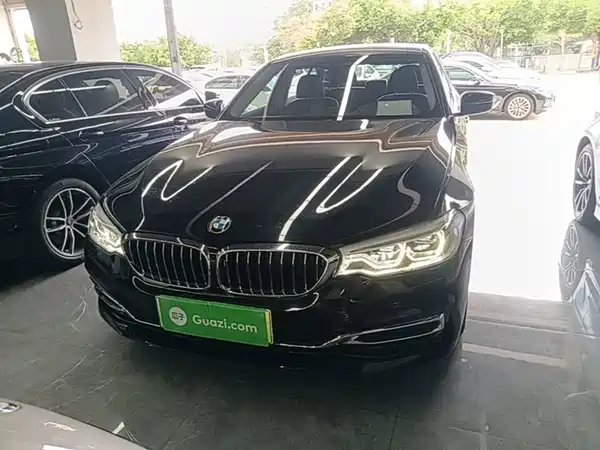 BMW 5 Series New Energy 2020