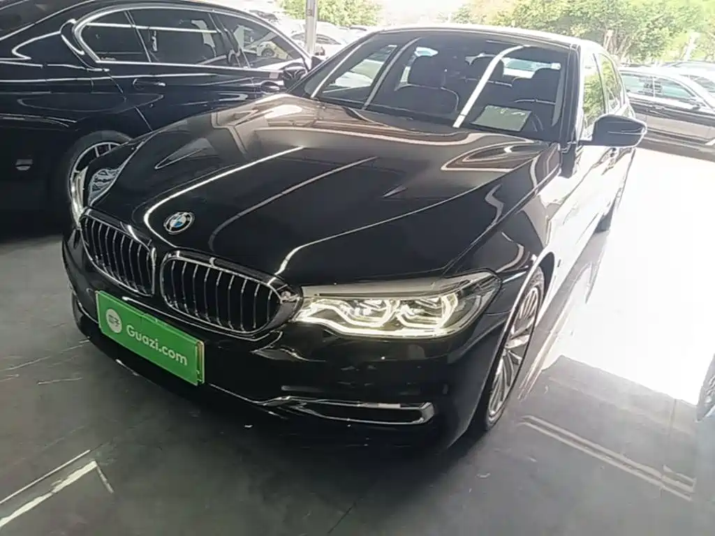 BMW 5 Series New Energy 2020